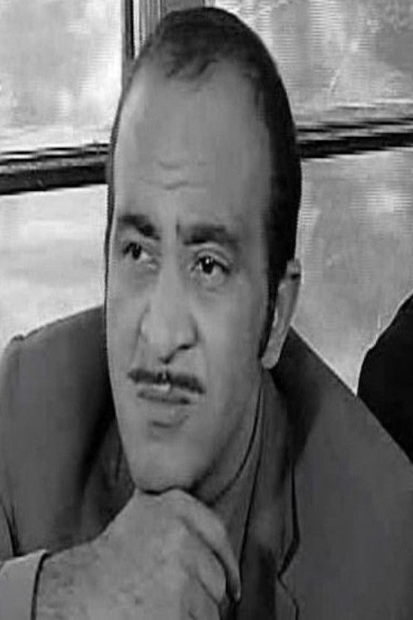 et billede af Elsayed Monir