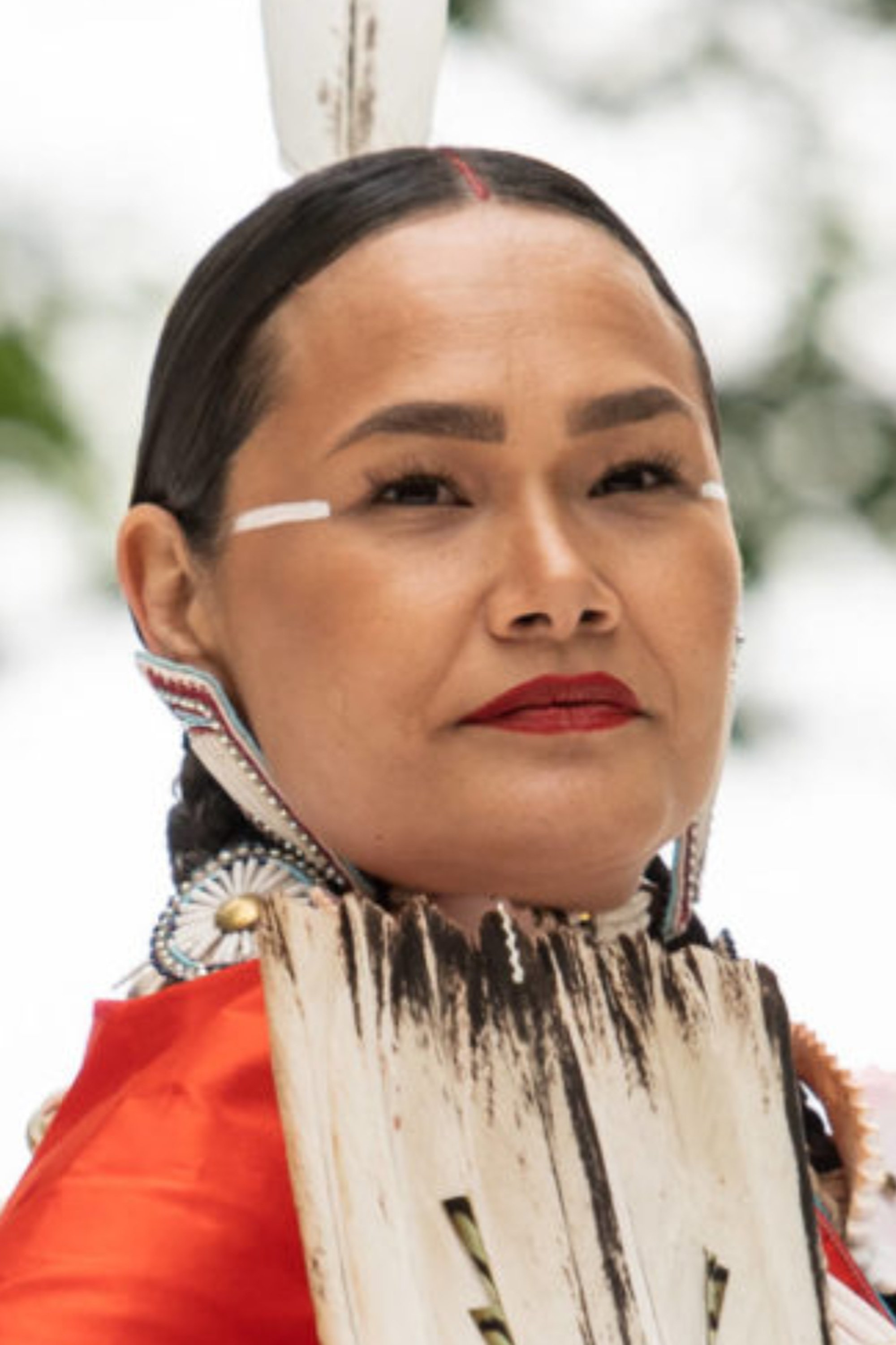 et billede af Acosia Red Elk