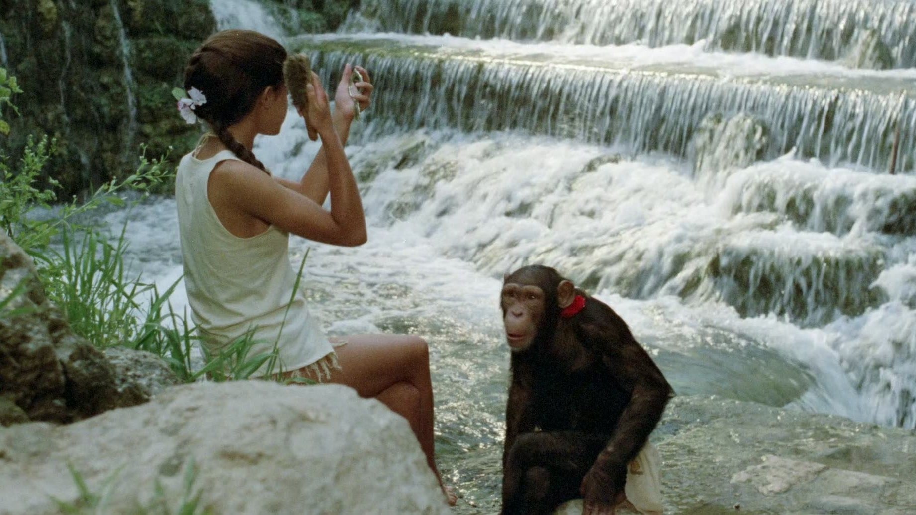 Paradise (1982)