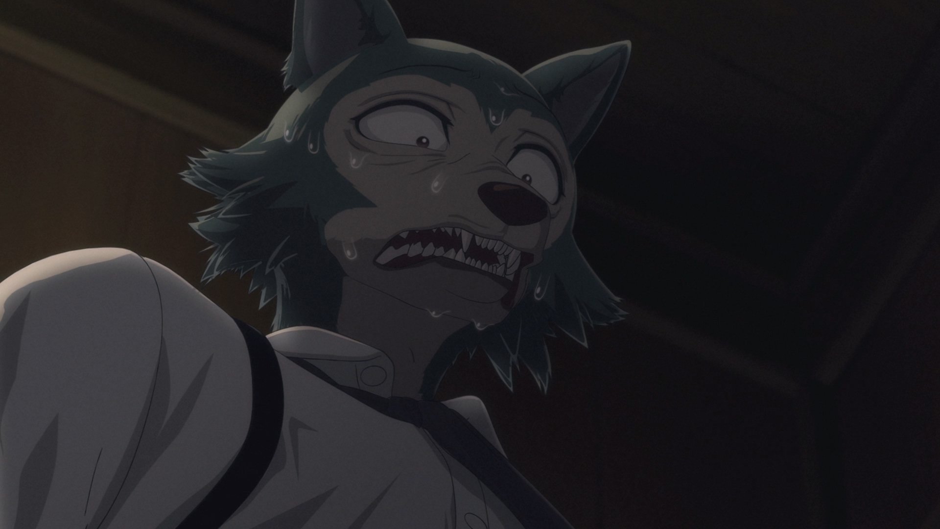 BEASTARS - Season 1 Episode 9 : Into the Lion's Den