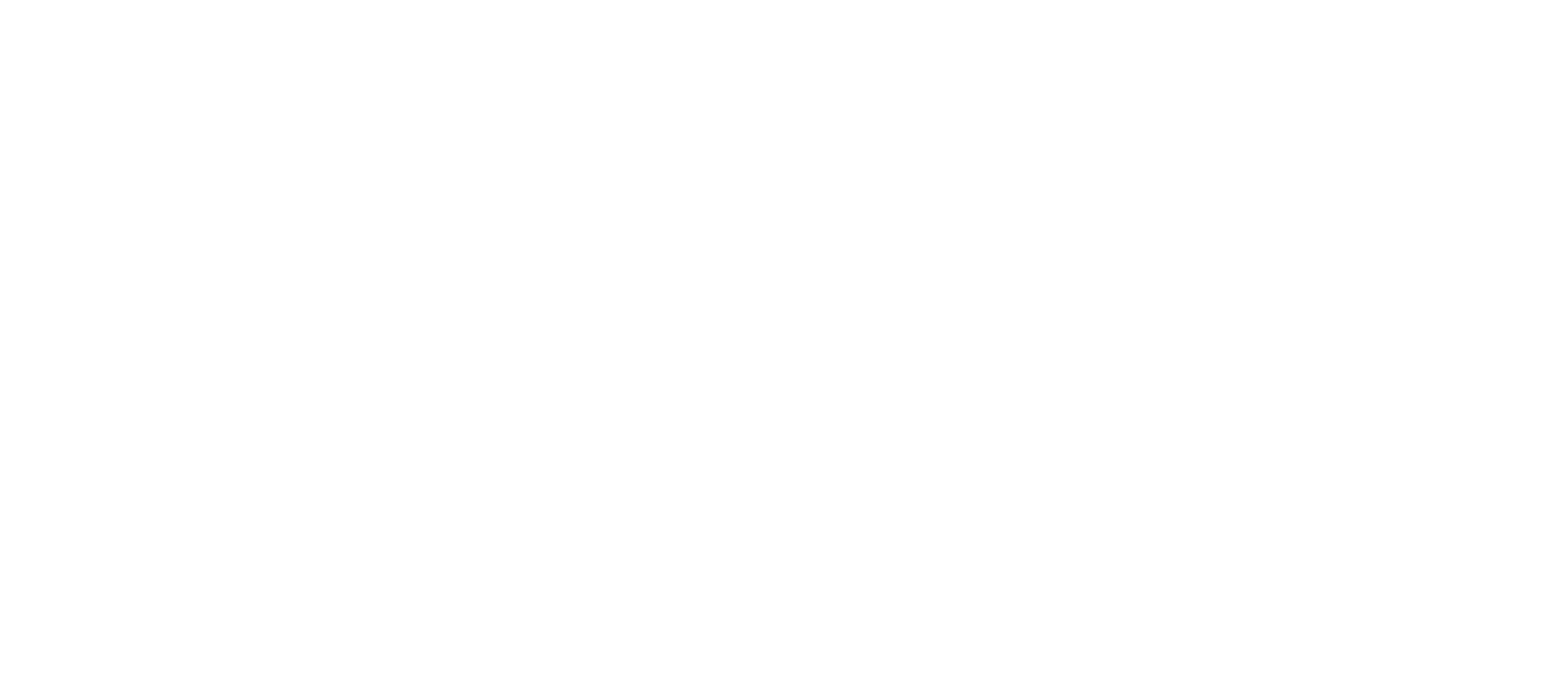 Vixen Logo
