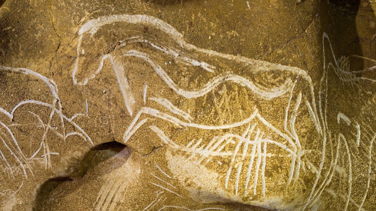 Grotte Chauvet - Dans les pas des artistes de la Préhistoire