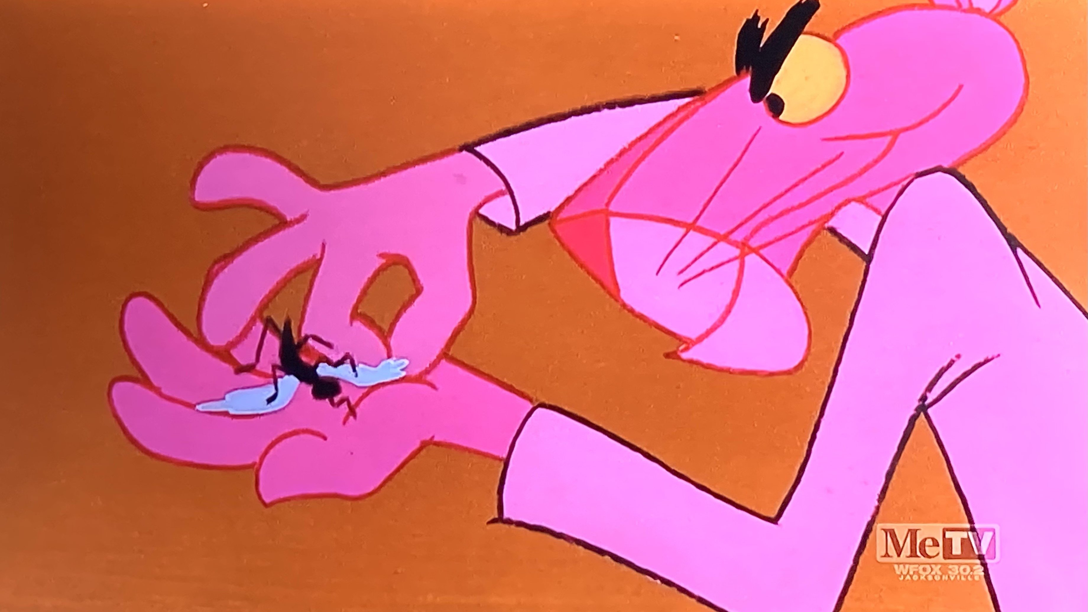 A Fly in the Pink (1971)