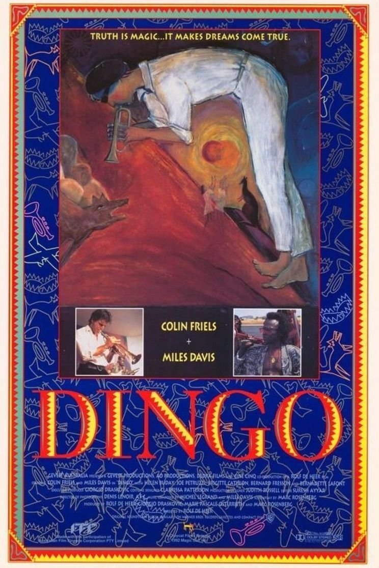 Dingo