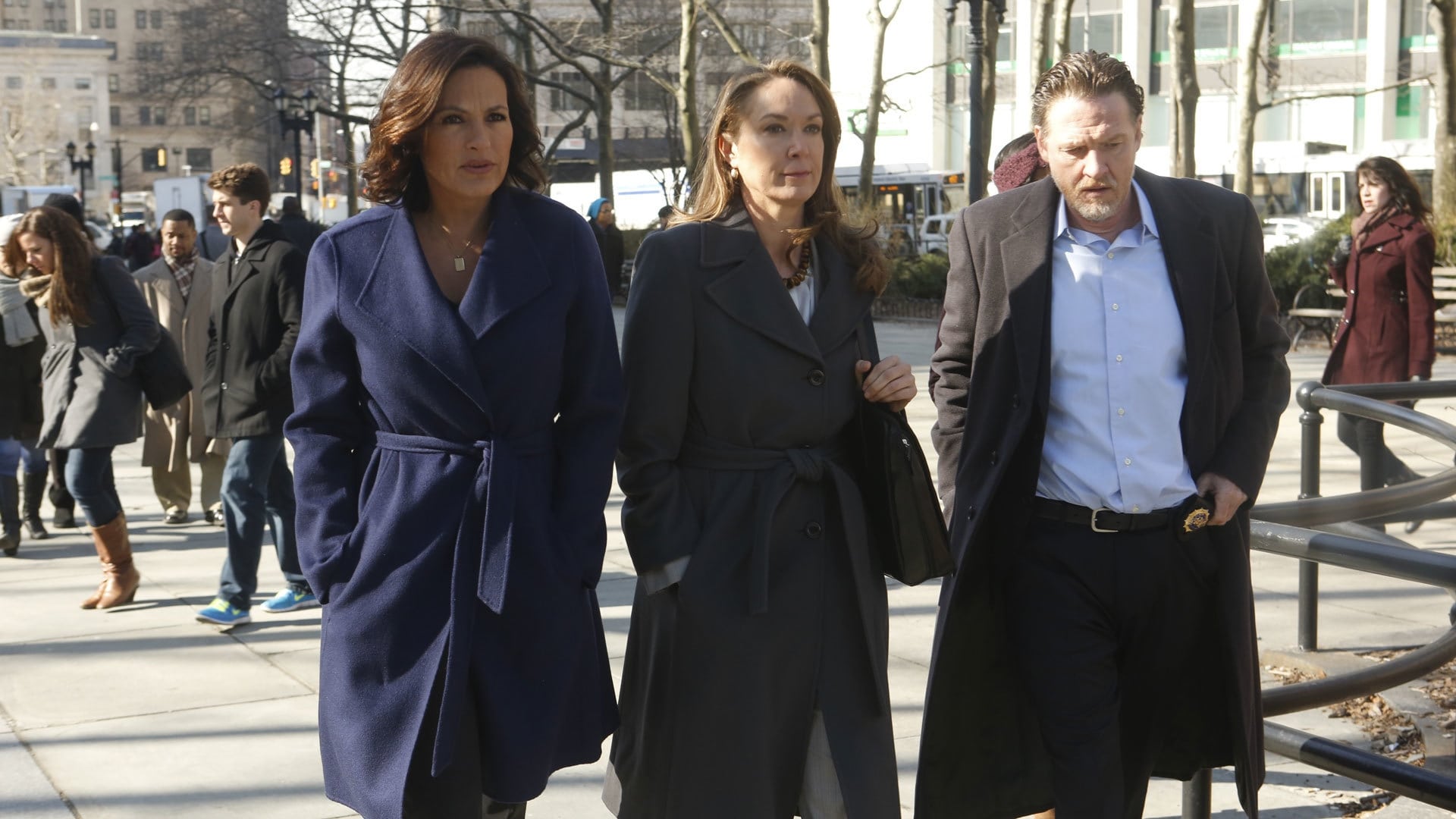 Law & Order: Special Victims Unit Season 15 :Episode 21  Post-Mortem Blues