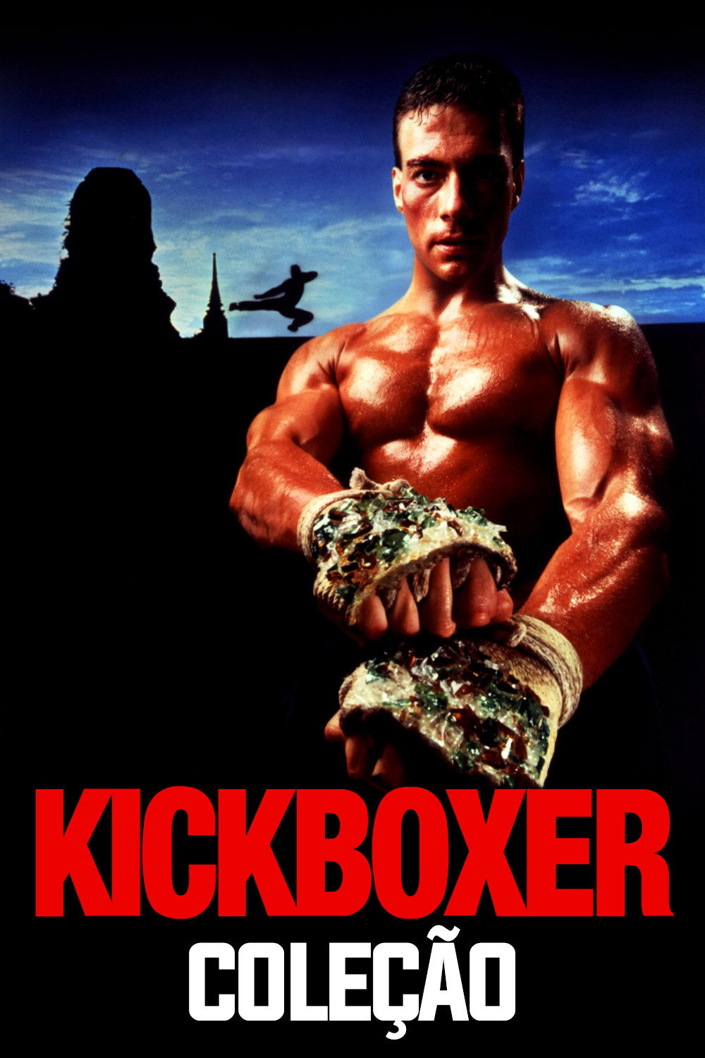 Kickboxer: Coleção