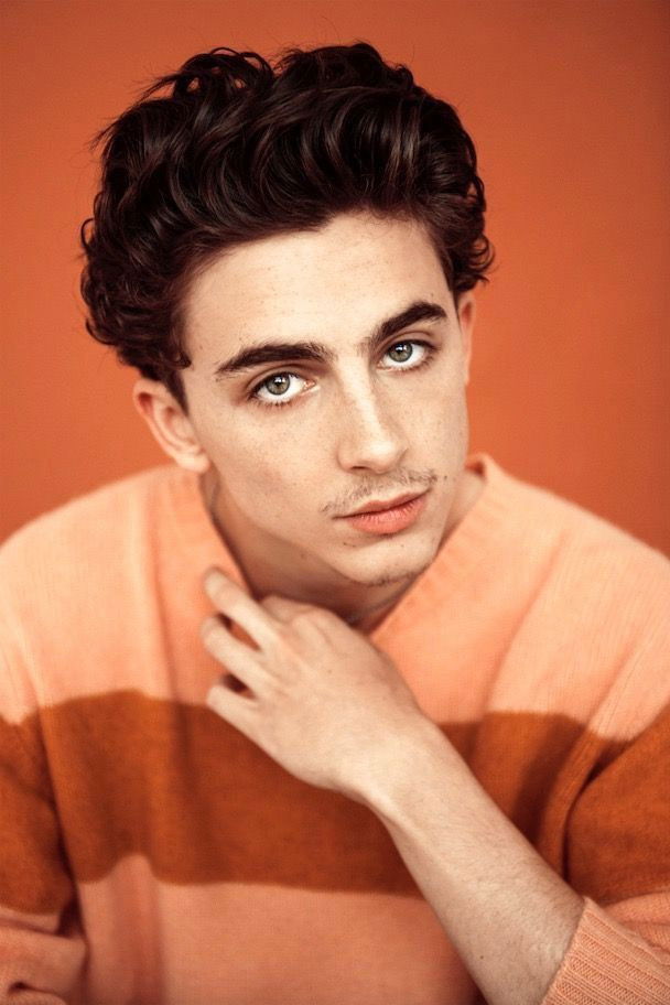 Et billede af Timothée Chalamet