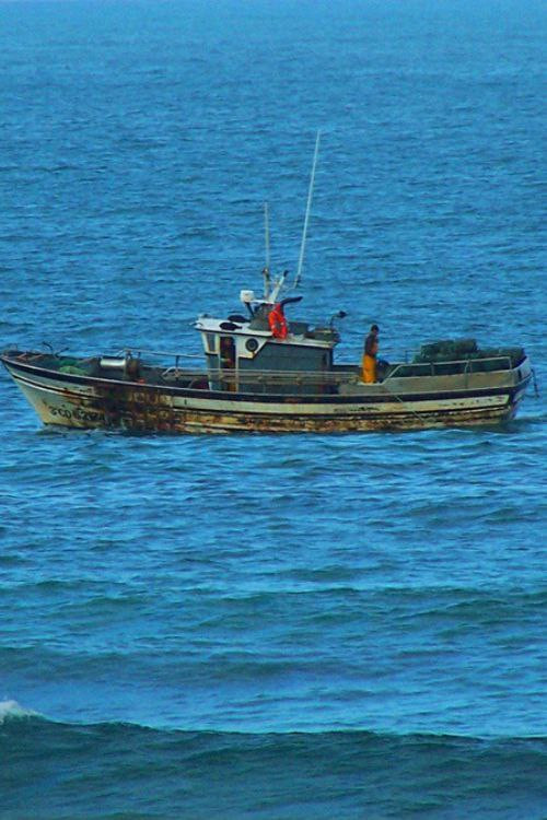 Anacos da Galiza poster