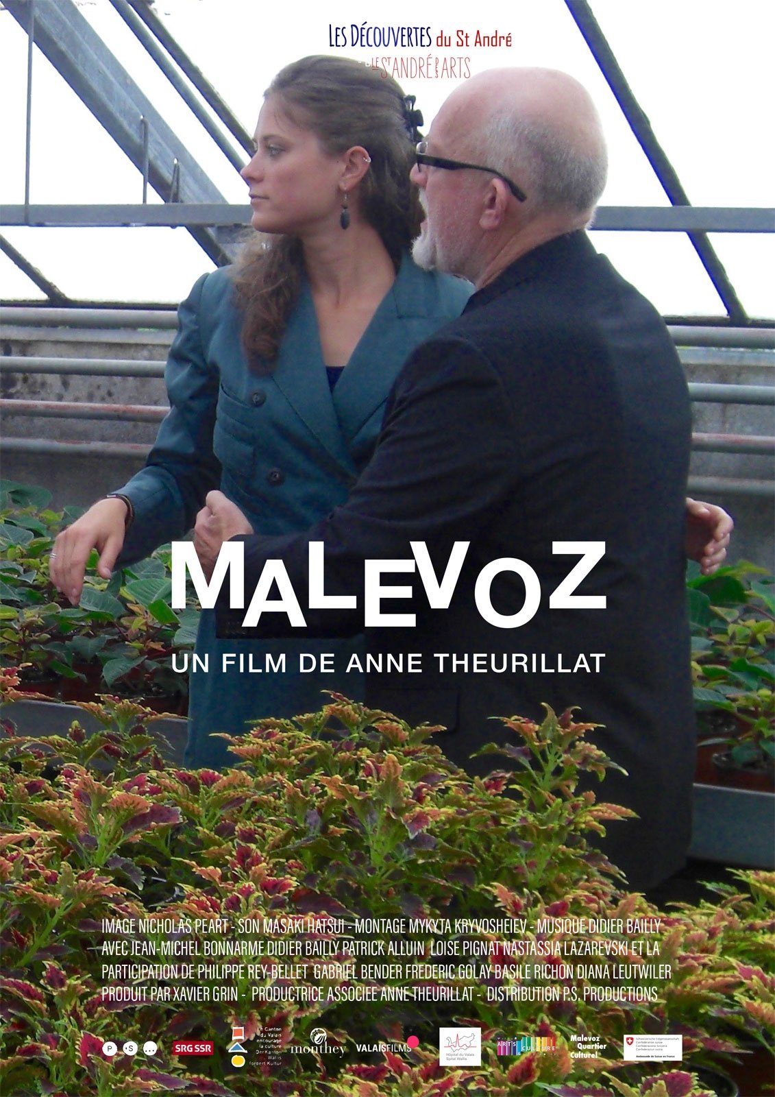 Affiche du film Malévoz 141206