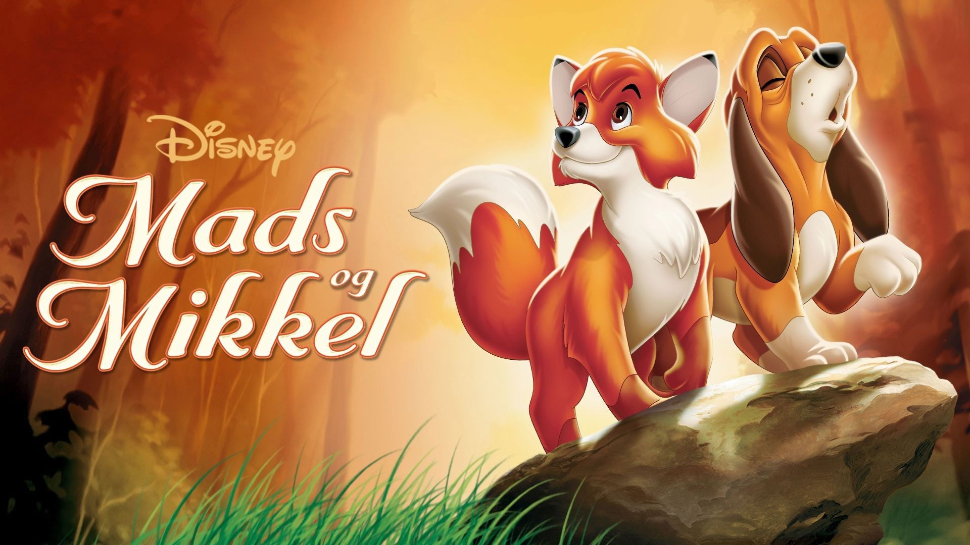 The Fox and the Hound