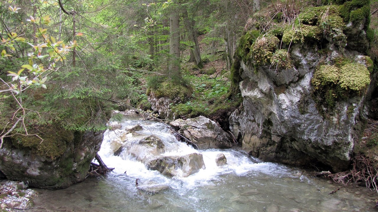 Thumbnail for Episode 1 Season 1 Episode 1