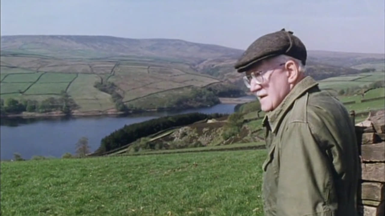 Last of the Summer Wine