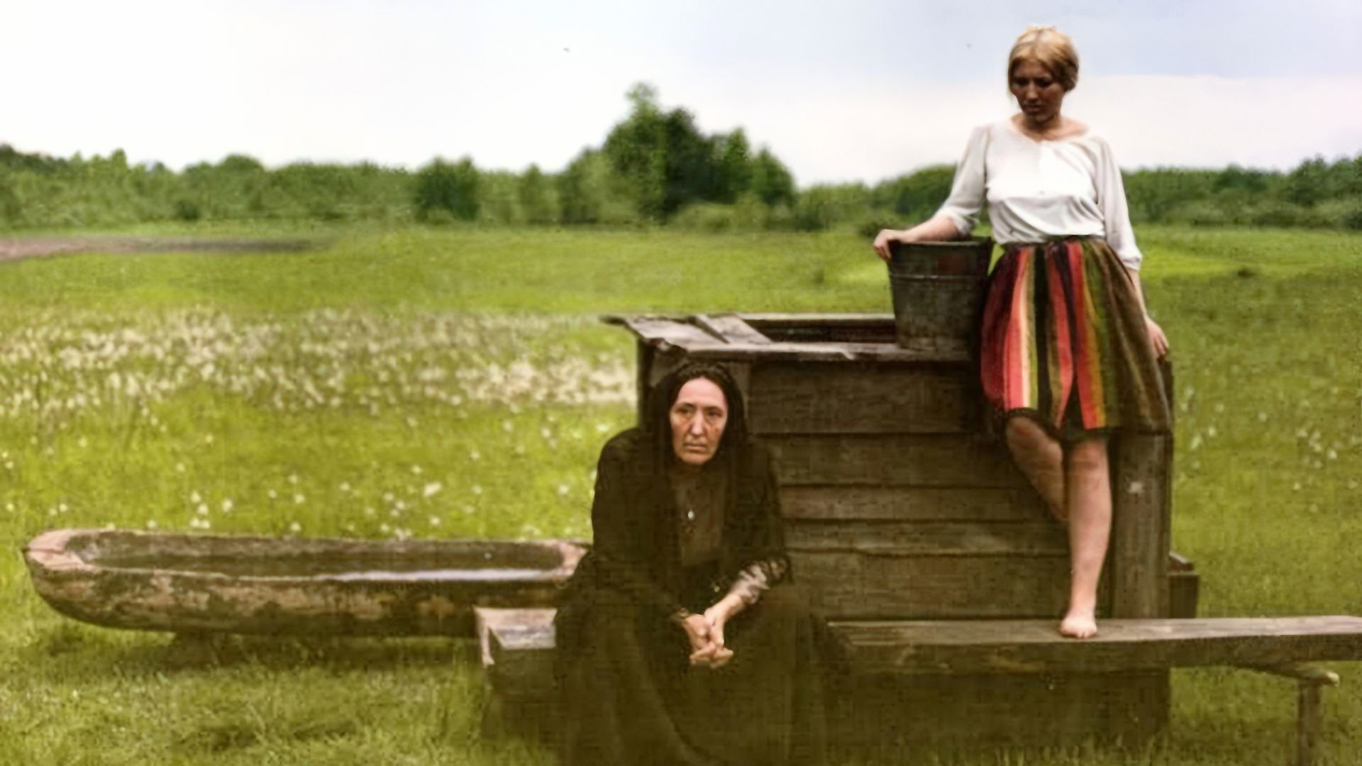 The Birch Wood (1970)