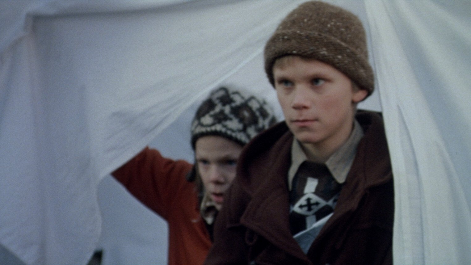 Cold Light (2004)