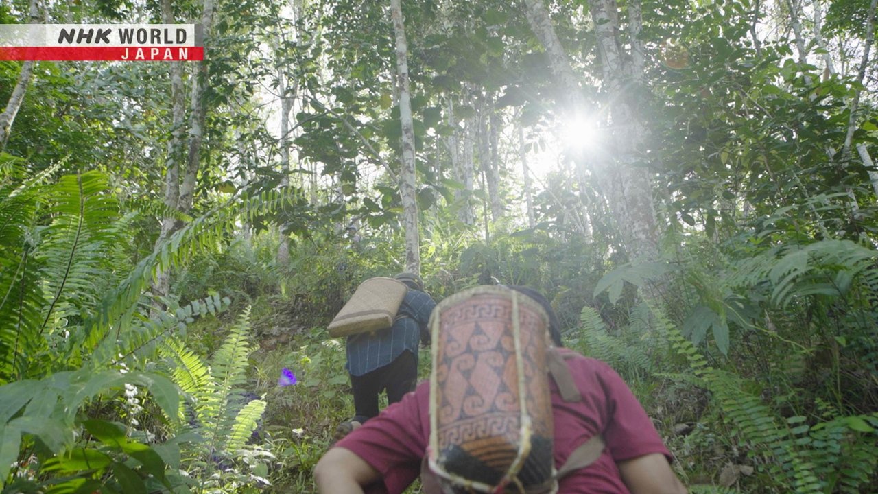 Asia Insight - Épisode 9