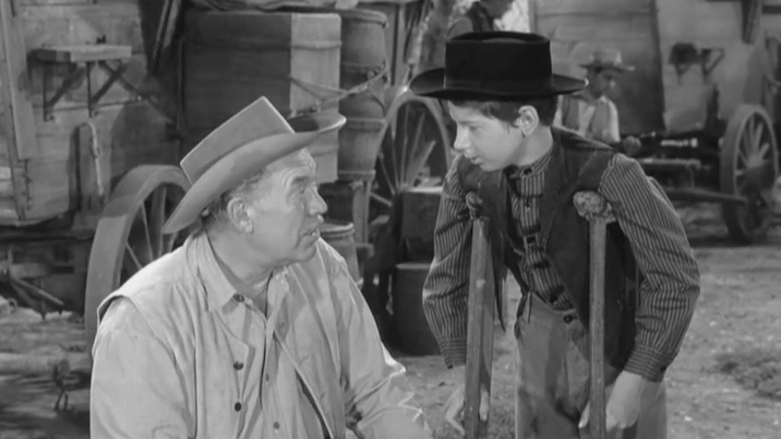 Wagon Train