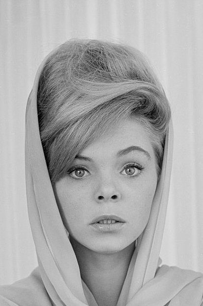 et billede af Jenny Maxwell