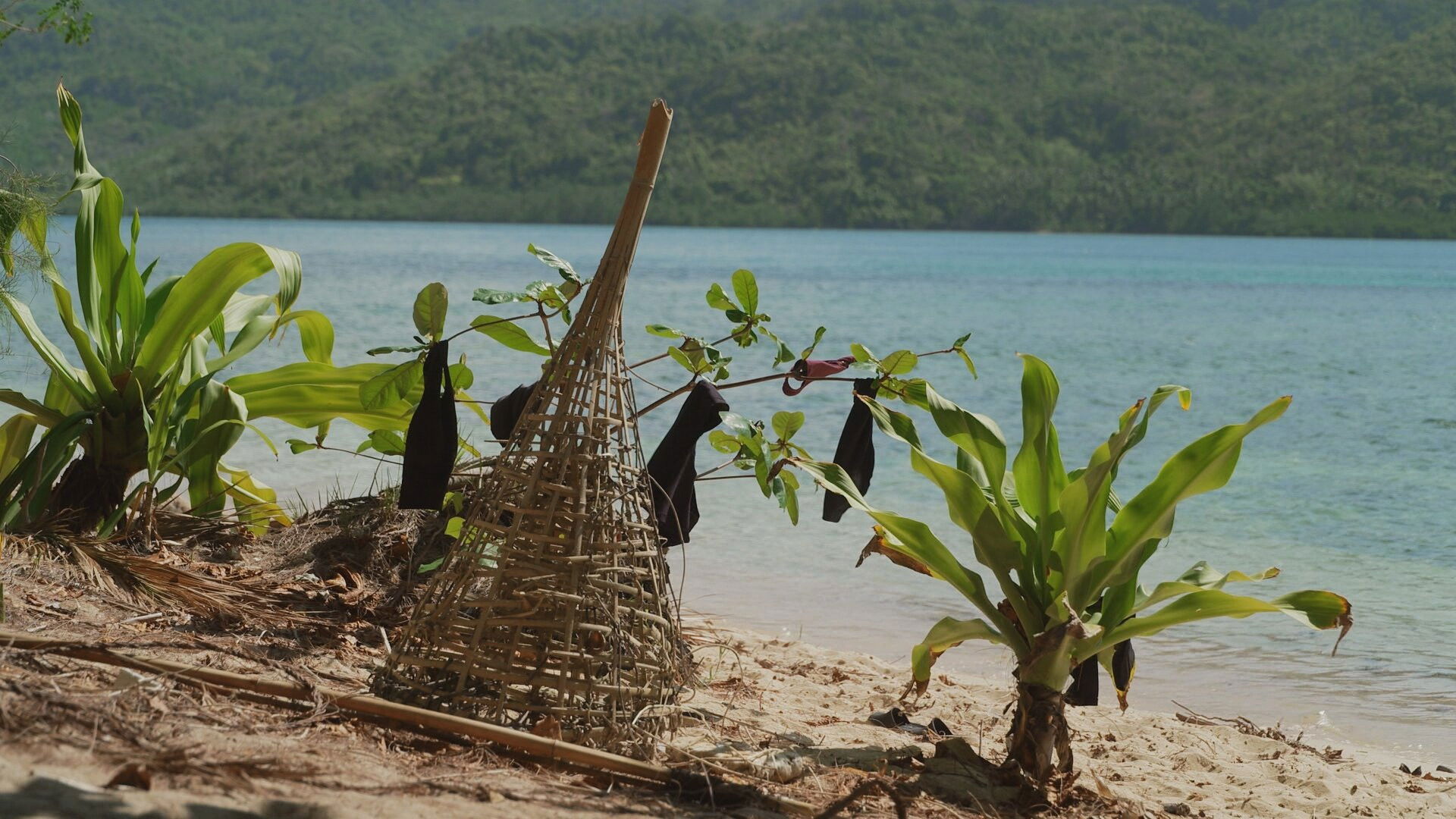 Robinson Staffel 24 :Folge 38 