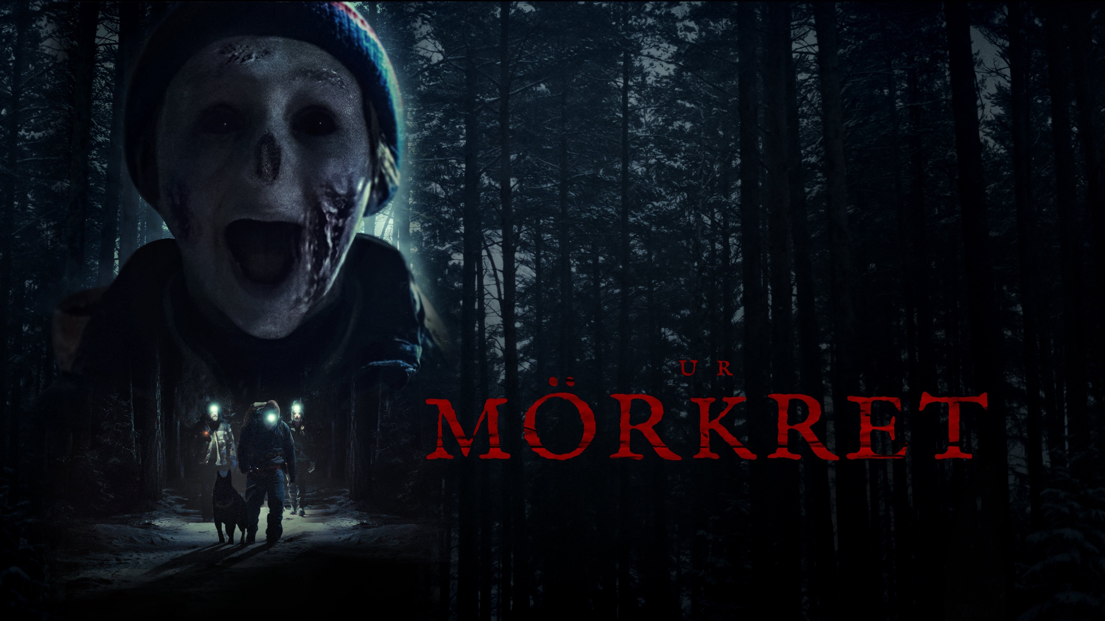 Caption: a movie poster for the horror film, the morkret