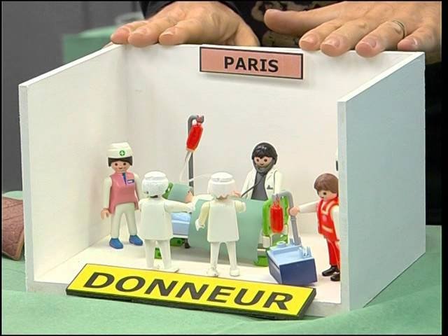 C'est pas sorcier - Greffes d'organes : le don c'est la vie