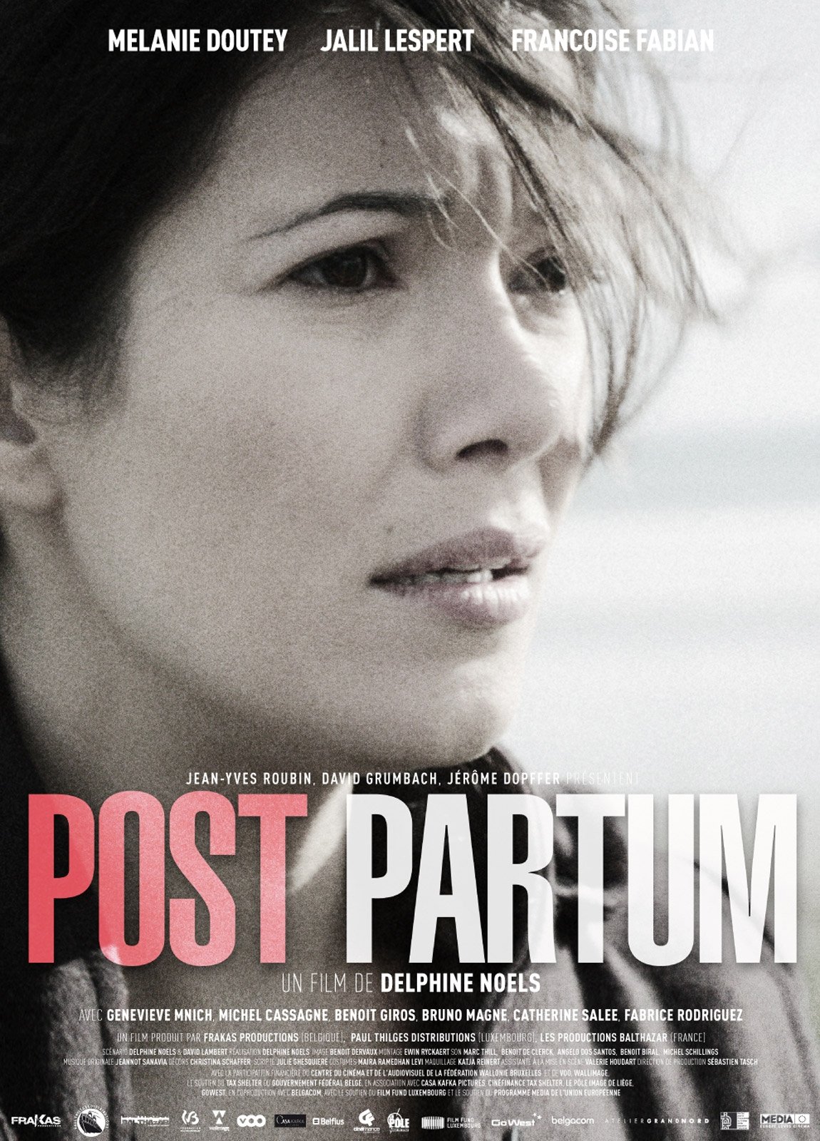 Affiche du film Post partum 26437