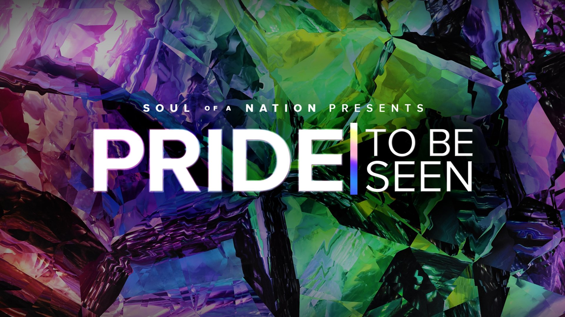 PRIDE: To Be Seen - A Soul of a Nation Presentation (2022)