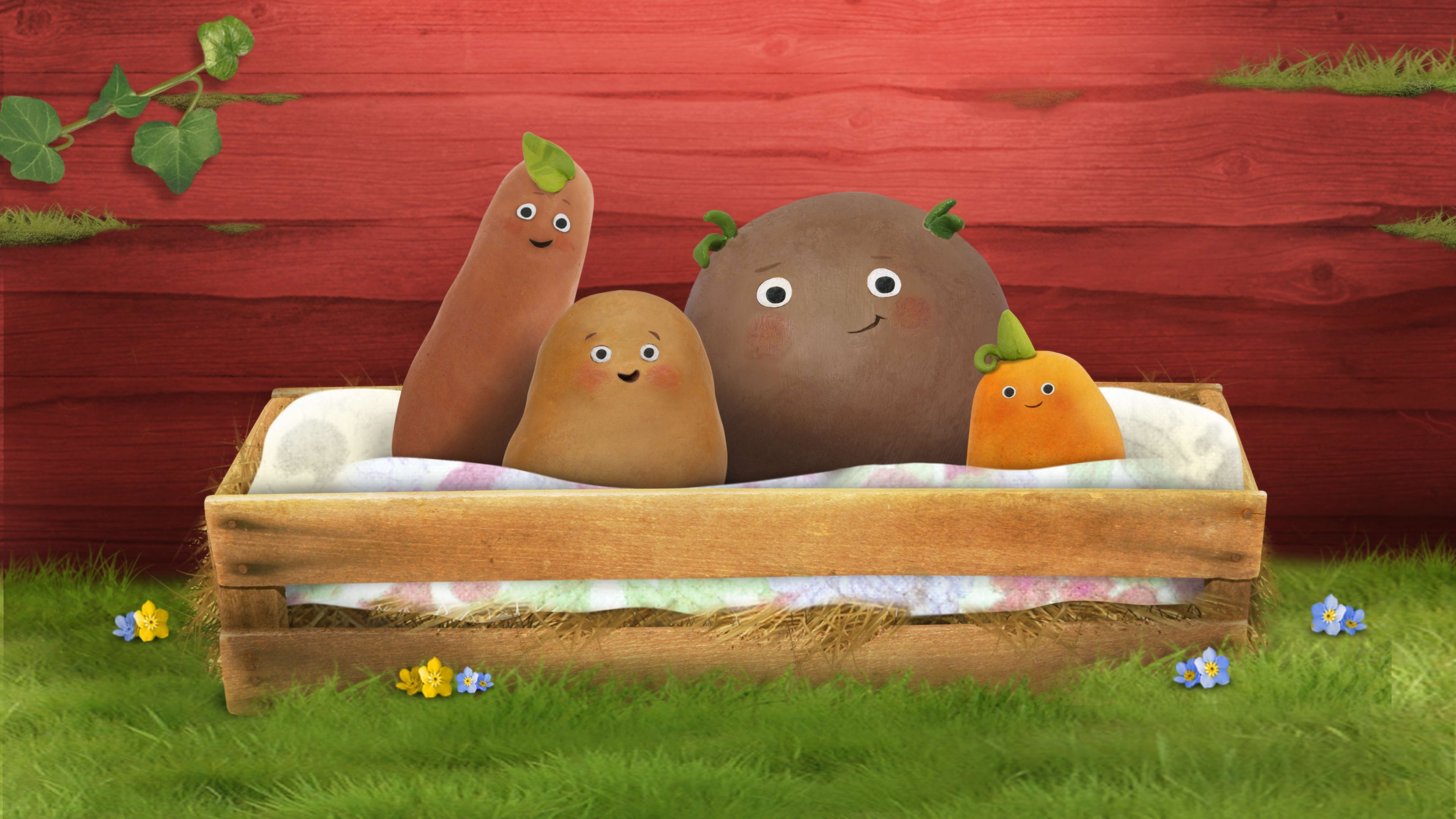 Meet the Small Potatoes poster