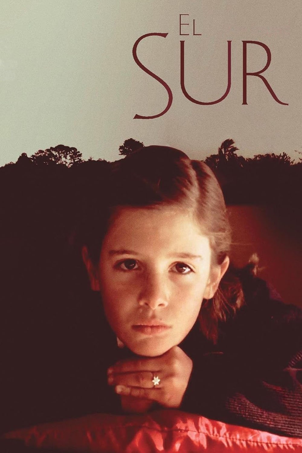 El Sur