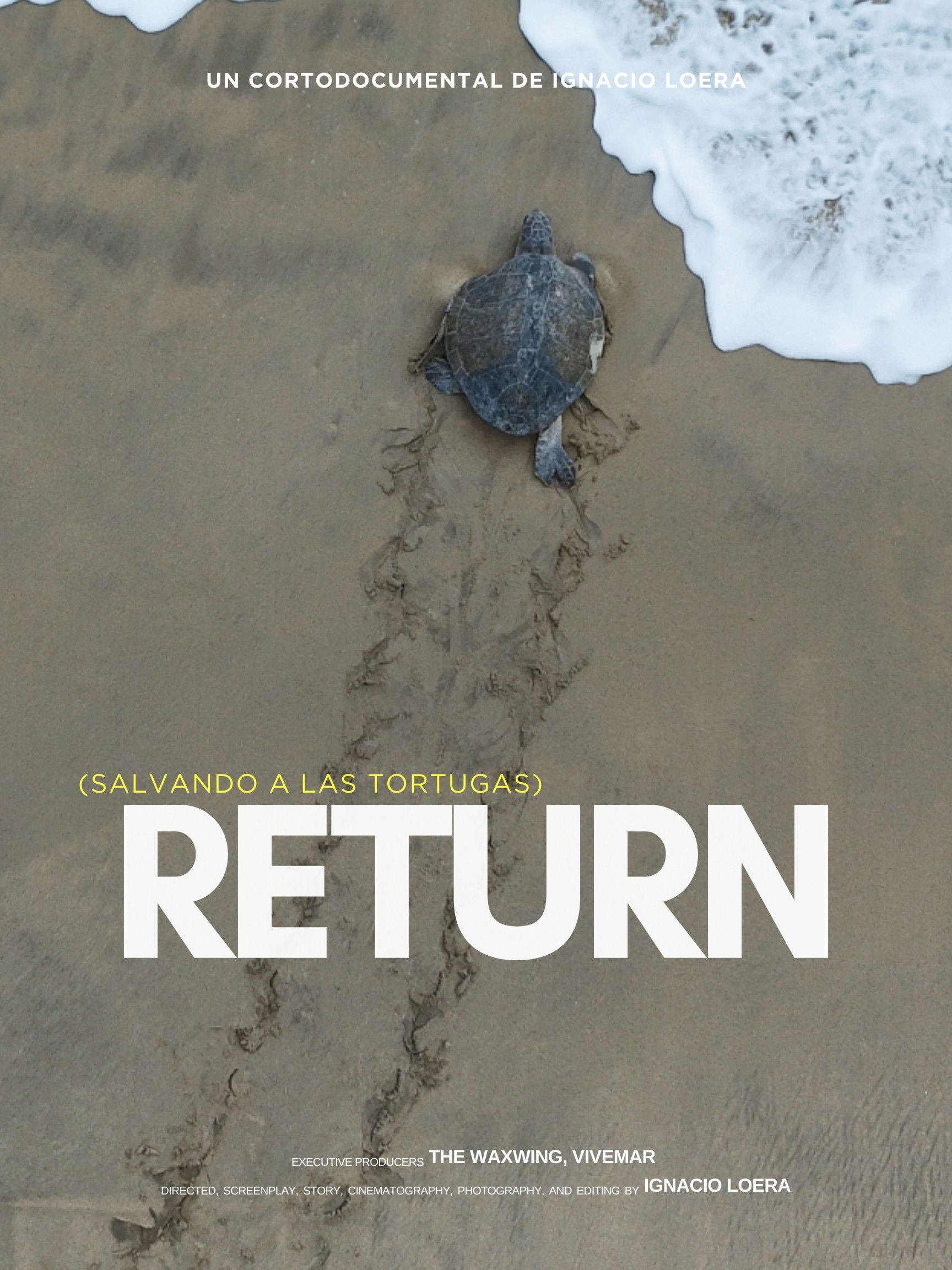 Return: Salvando a las tortugas