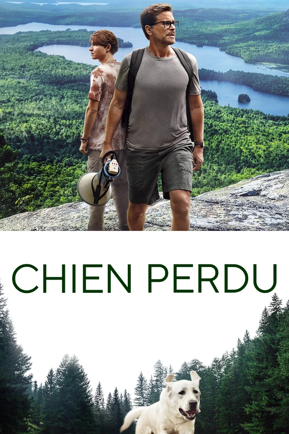CHIEN PERDU