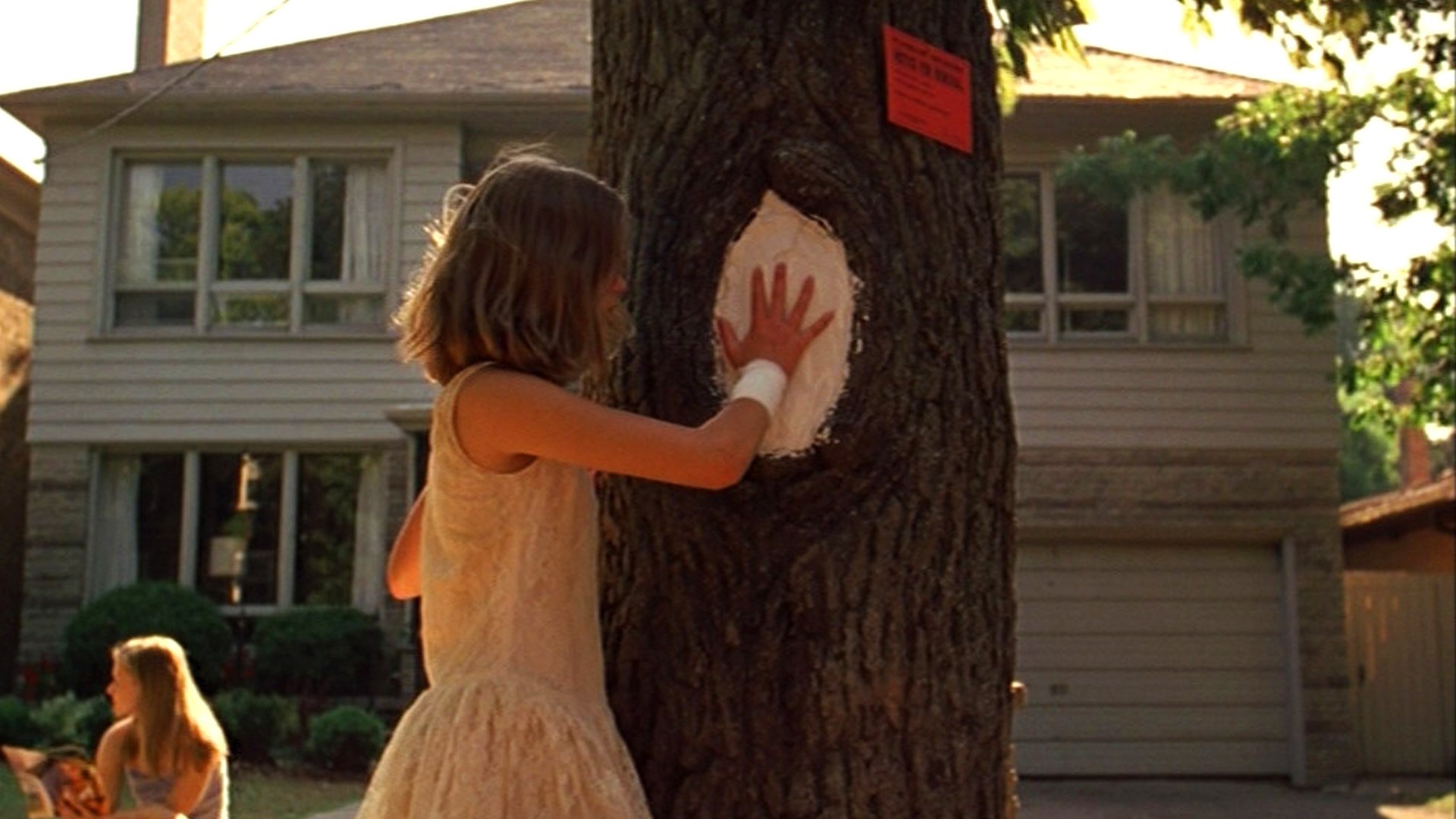 The Virgin Suicides (2000)