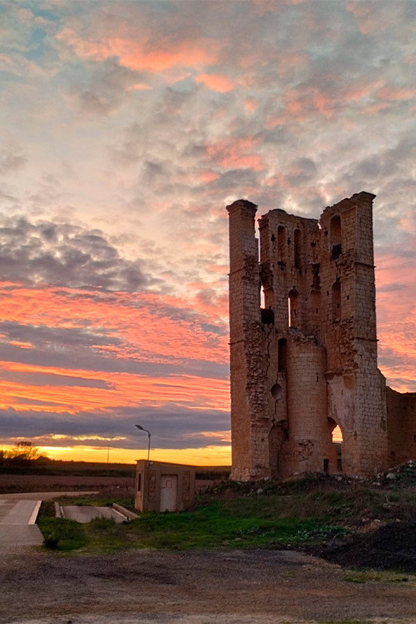 Tamariz de Campos