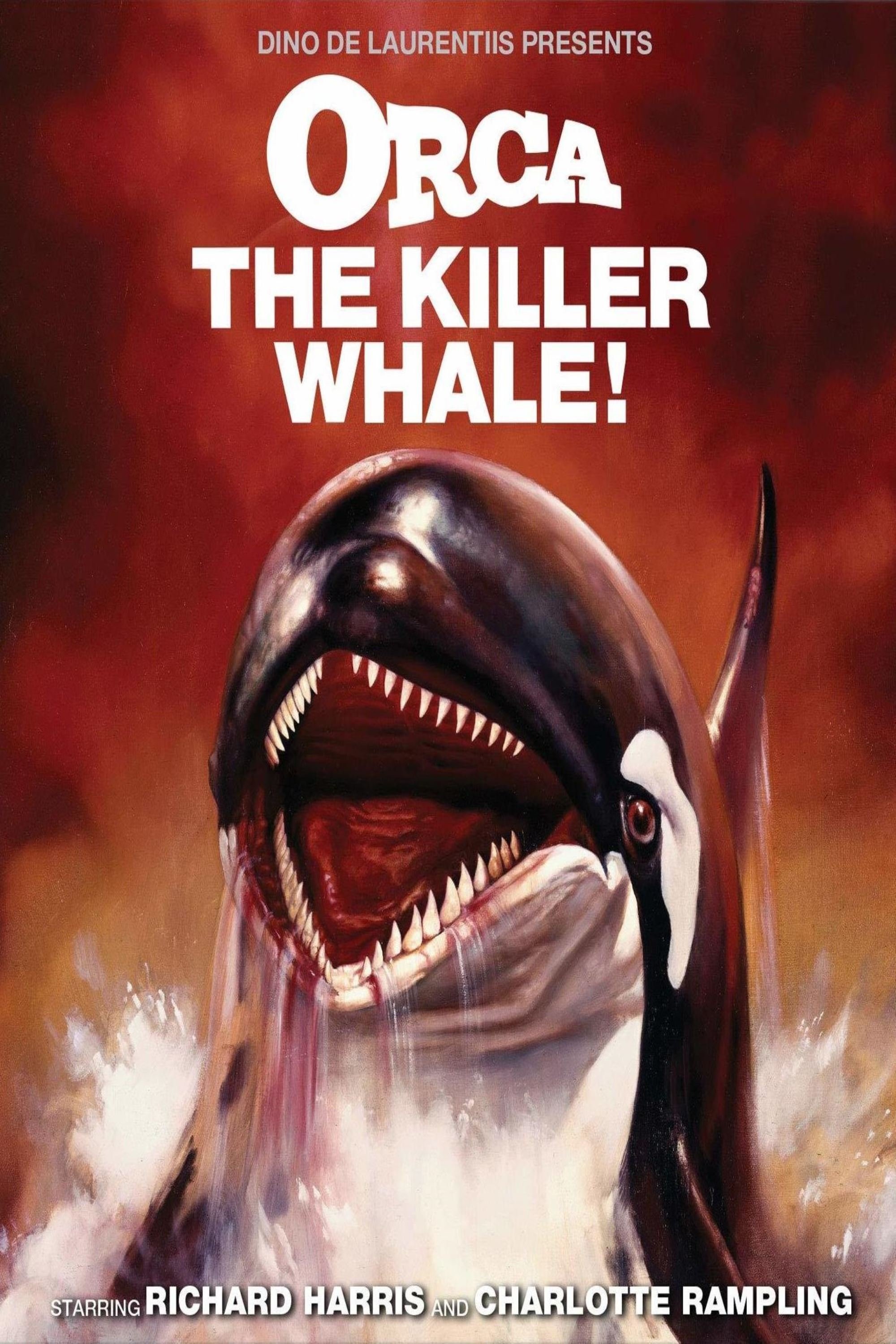Orca