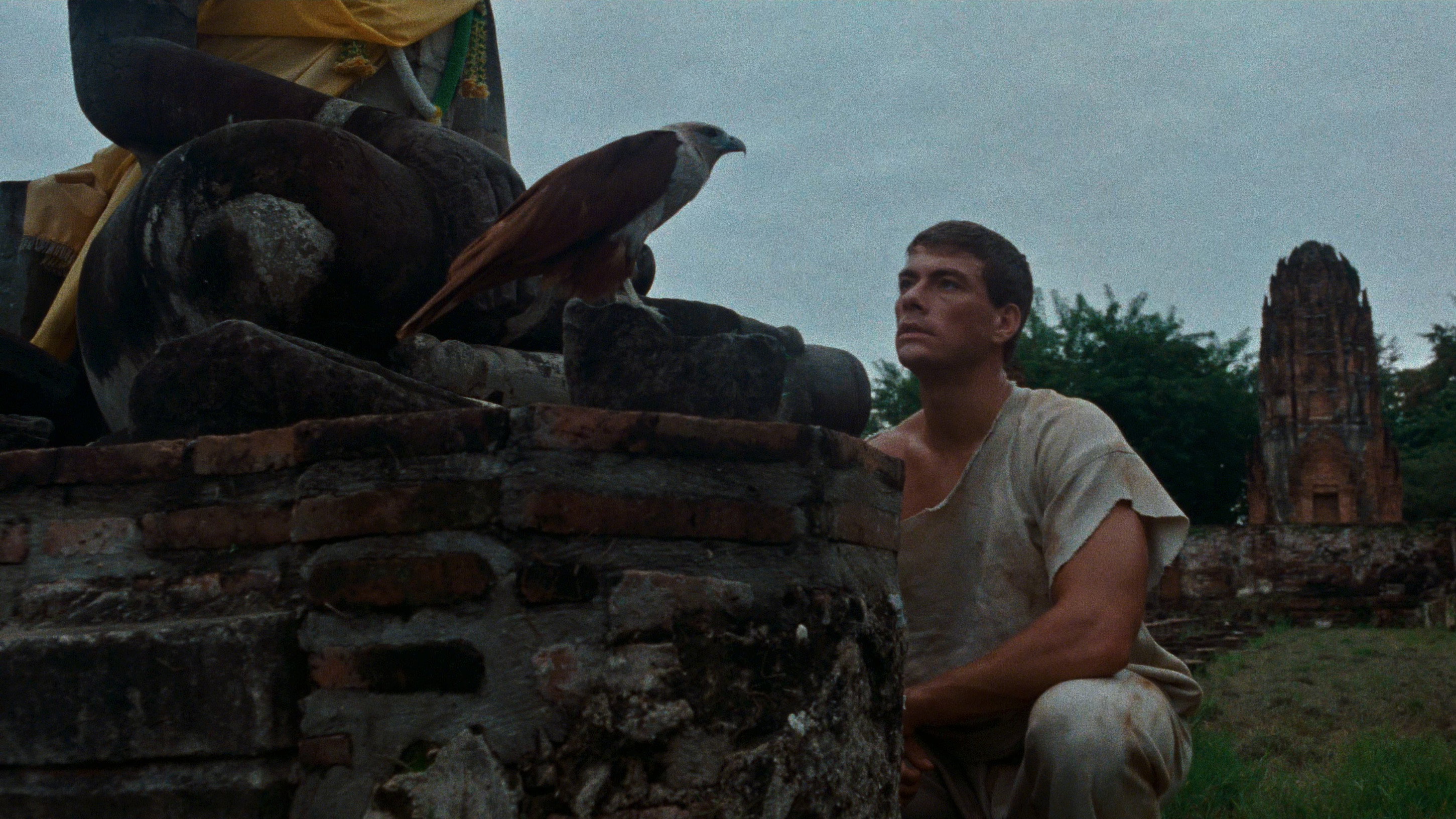 Kickboxer (1989) — still 2