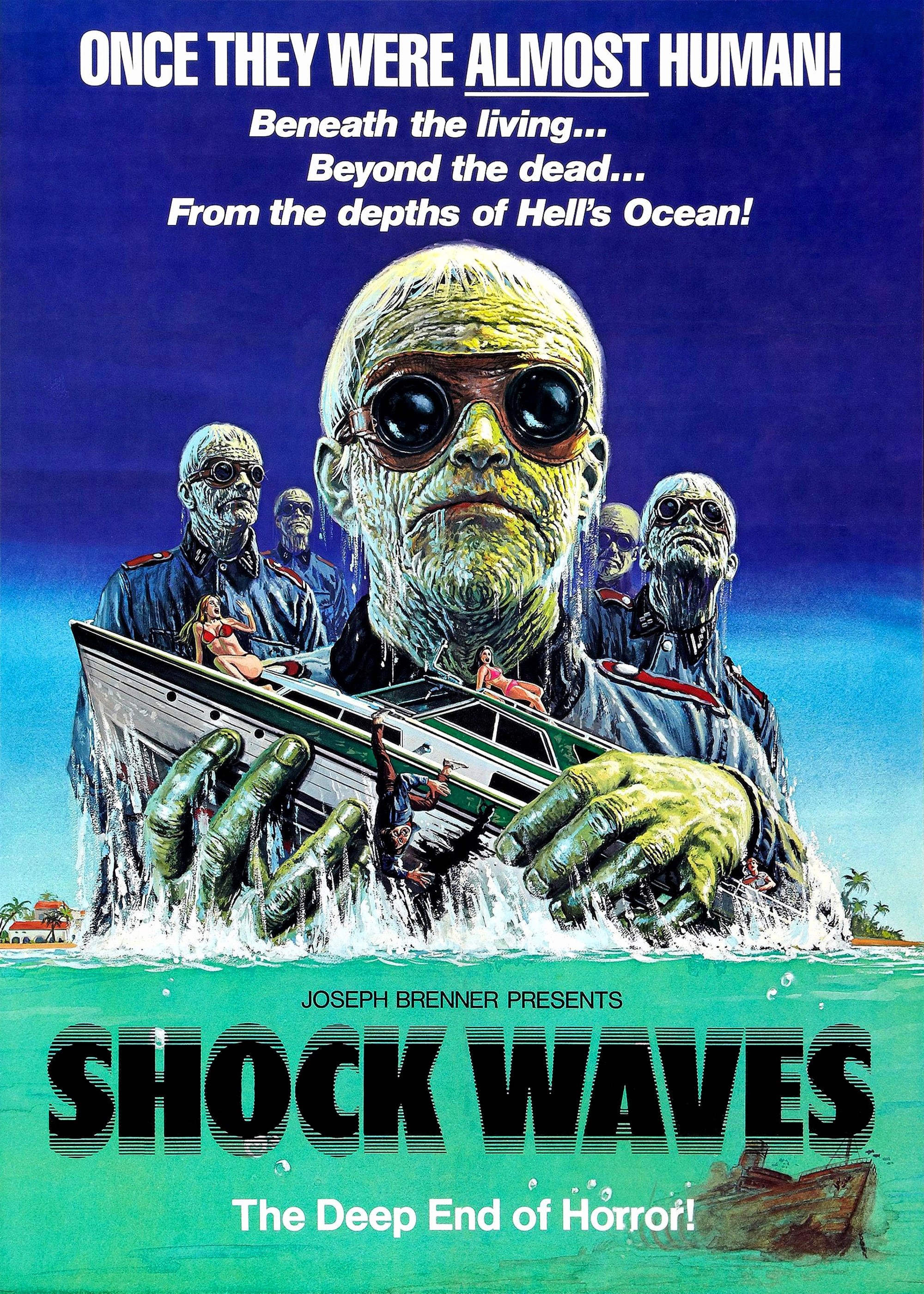Shock Waves