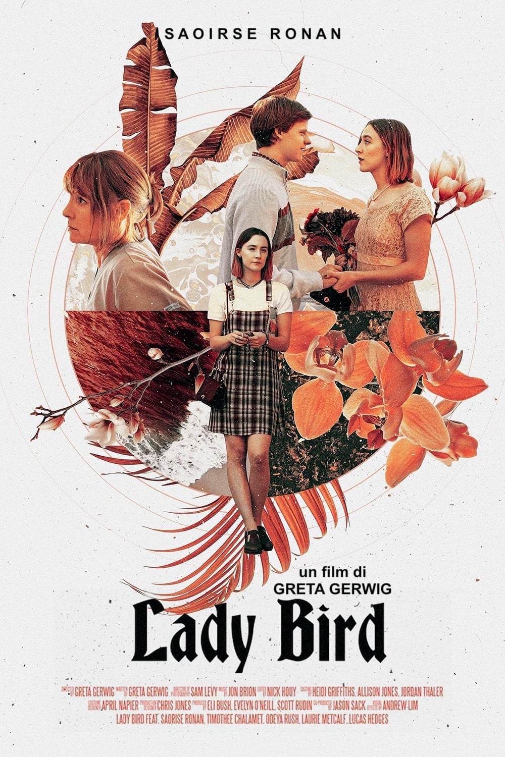 Lady Bird