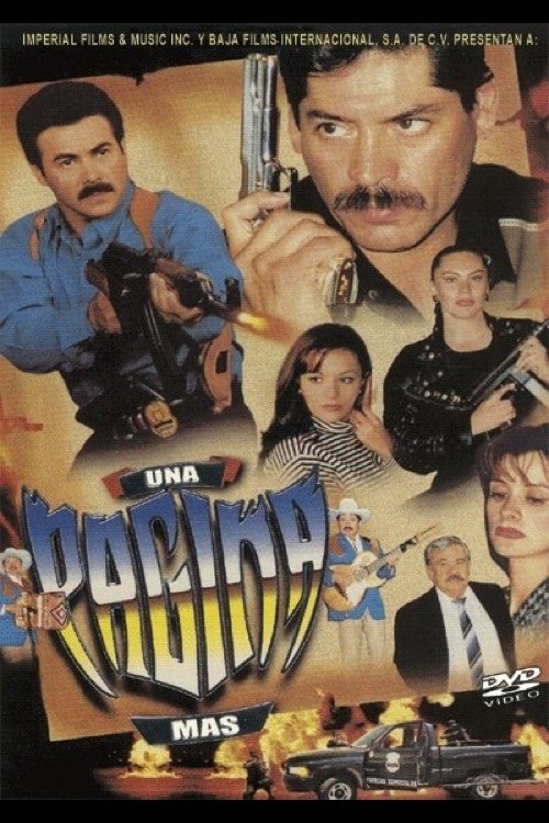 Content cover