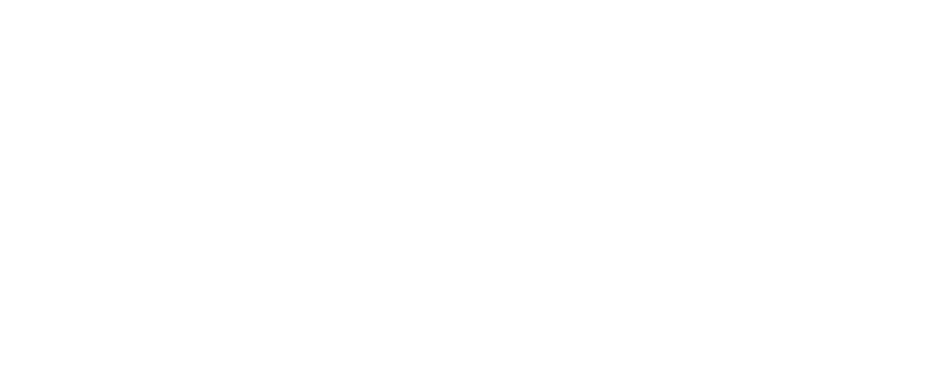 Into the Wind Logo