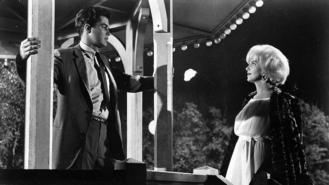The Stripper (1963)