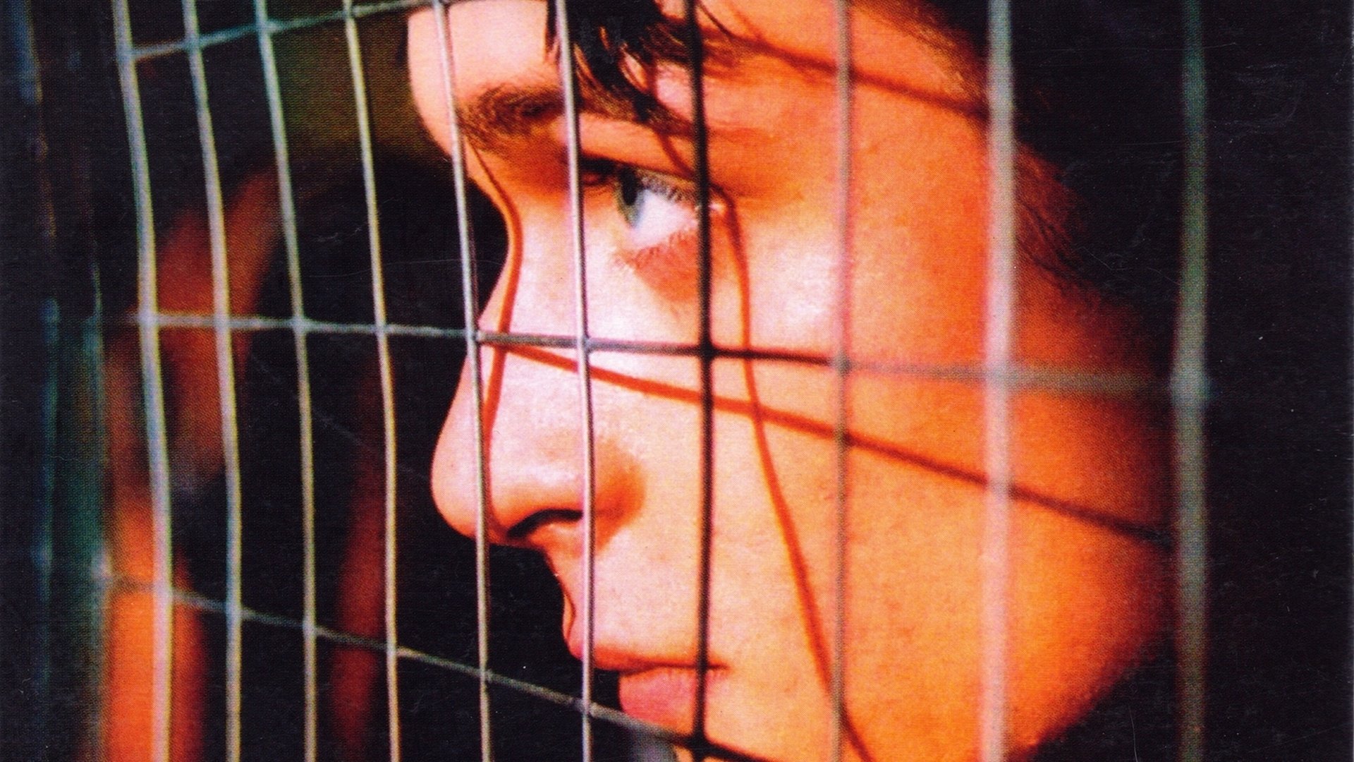 Zatracení (2002)