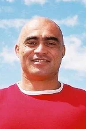 et billede af Slade Leef