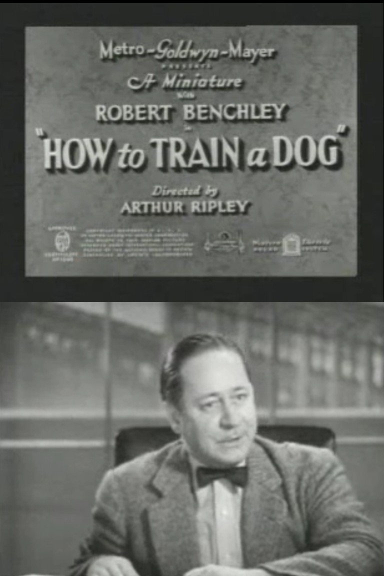 How to Train a Dog