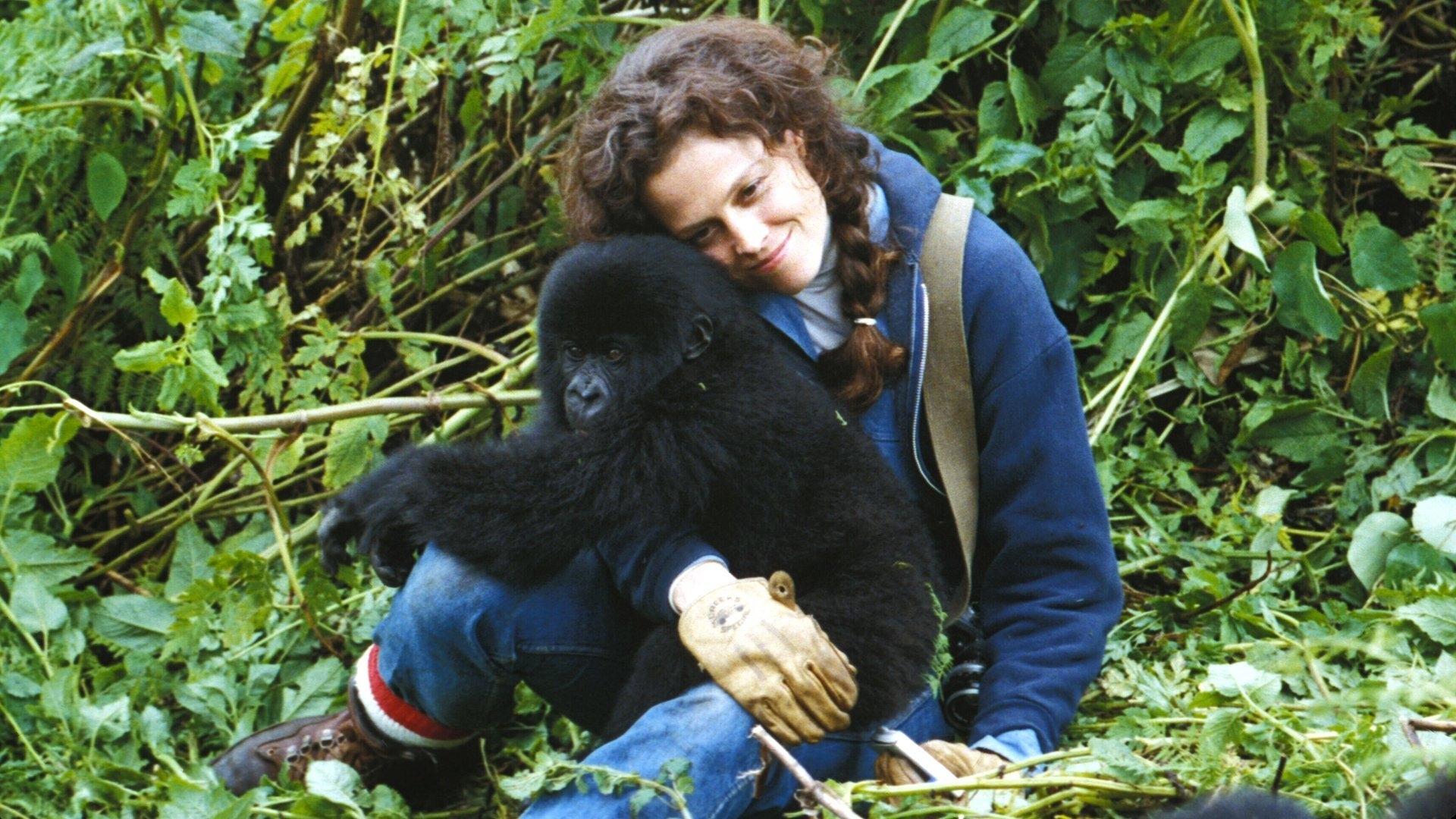 Gorillas in the Mist (1988)