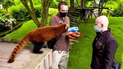 Expédition Pairi Daiza - Épisode 3
