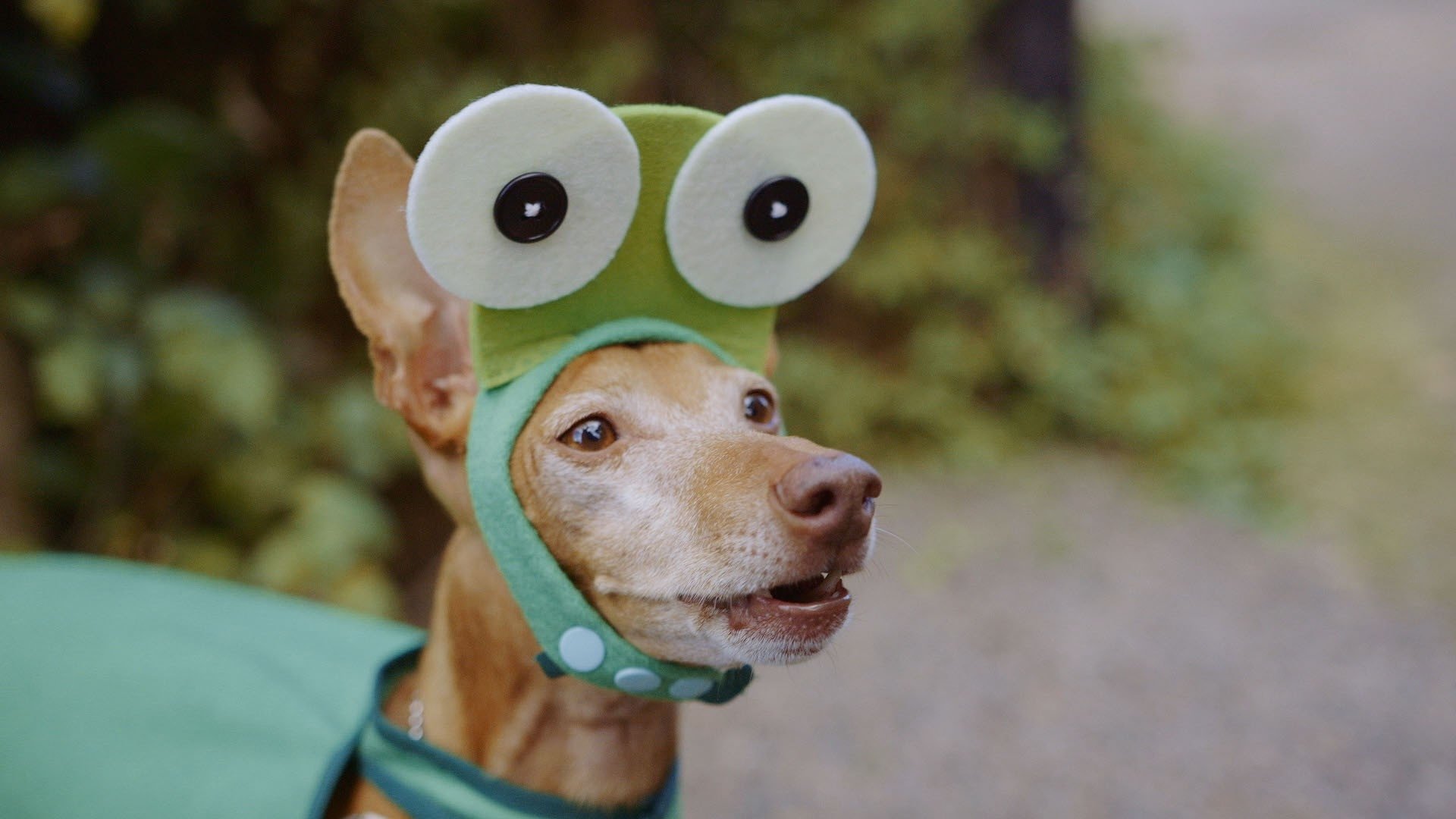 Thumbnail for Episode 6 Season 1 Episode 6