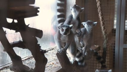 Expédition Pairi Daiza - Épisode 7