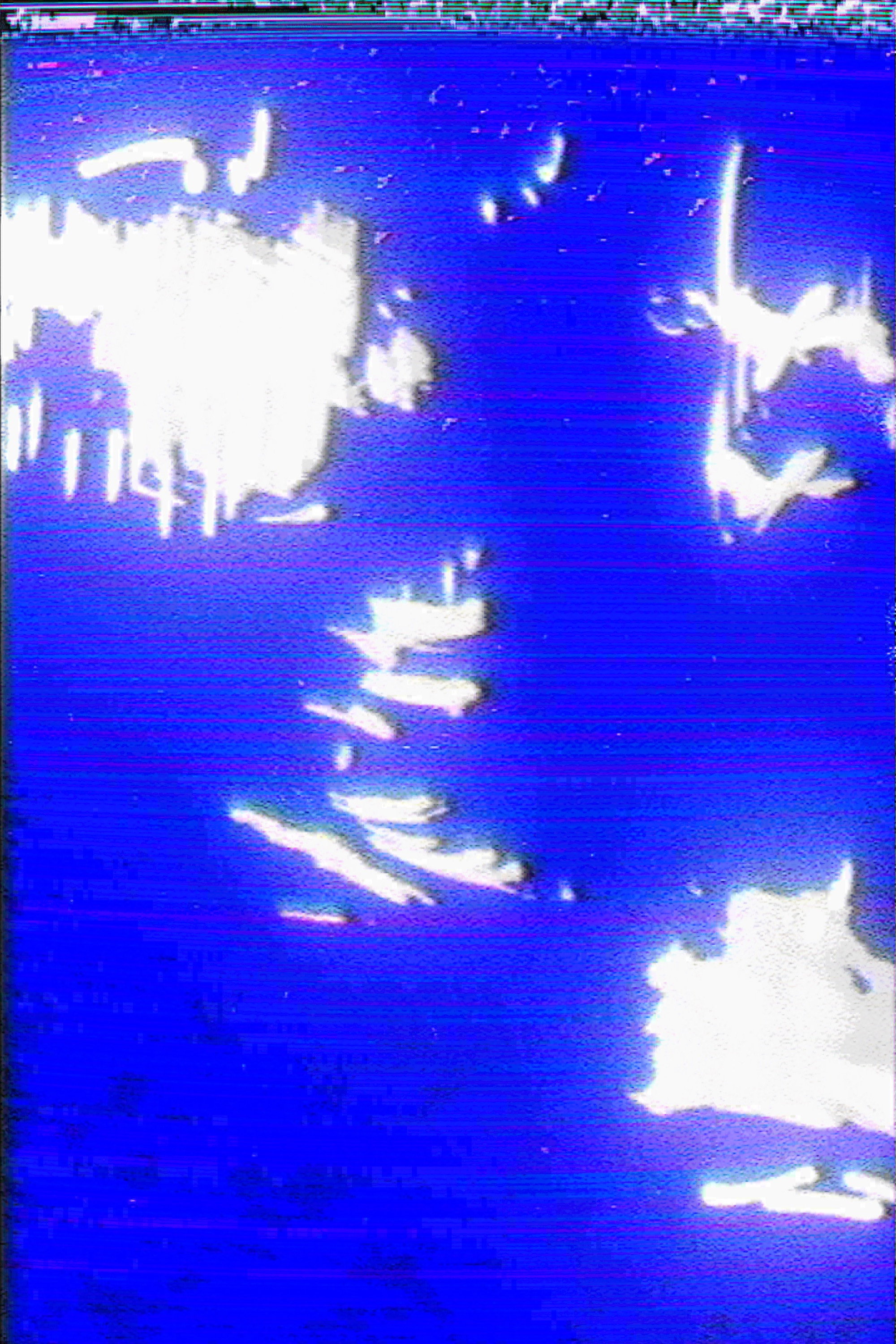 untitled_short_film.mov