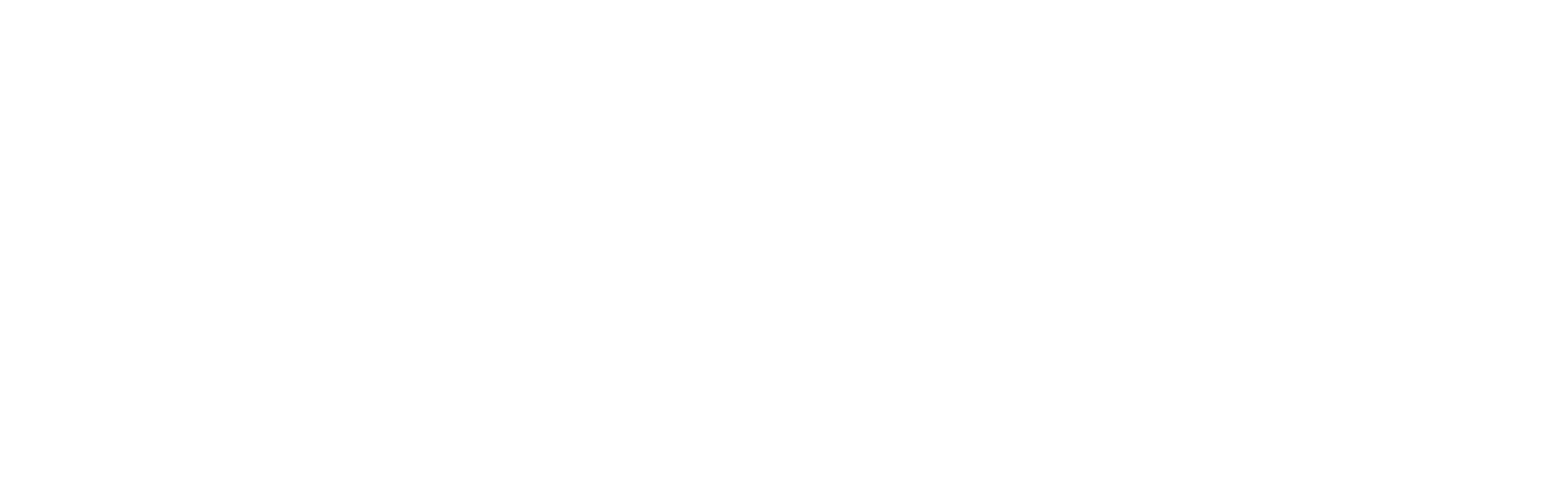 On the Go Logo