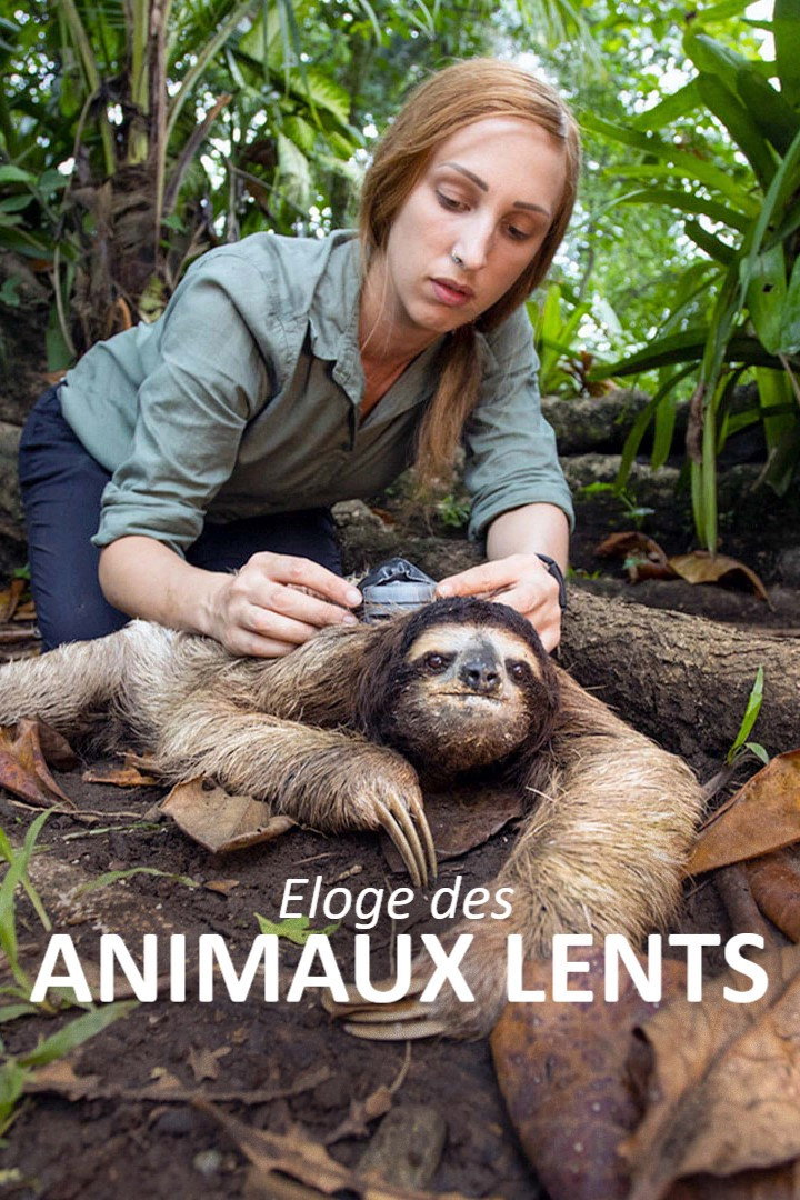 &Eacute;loge des animaux lents