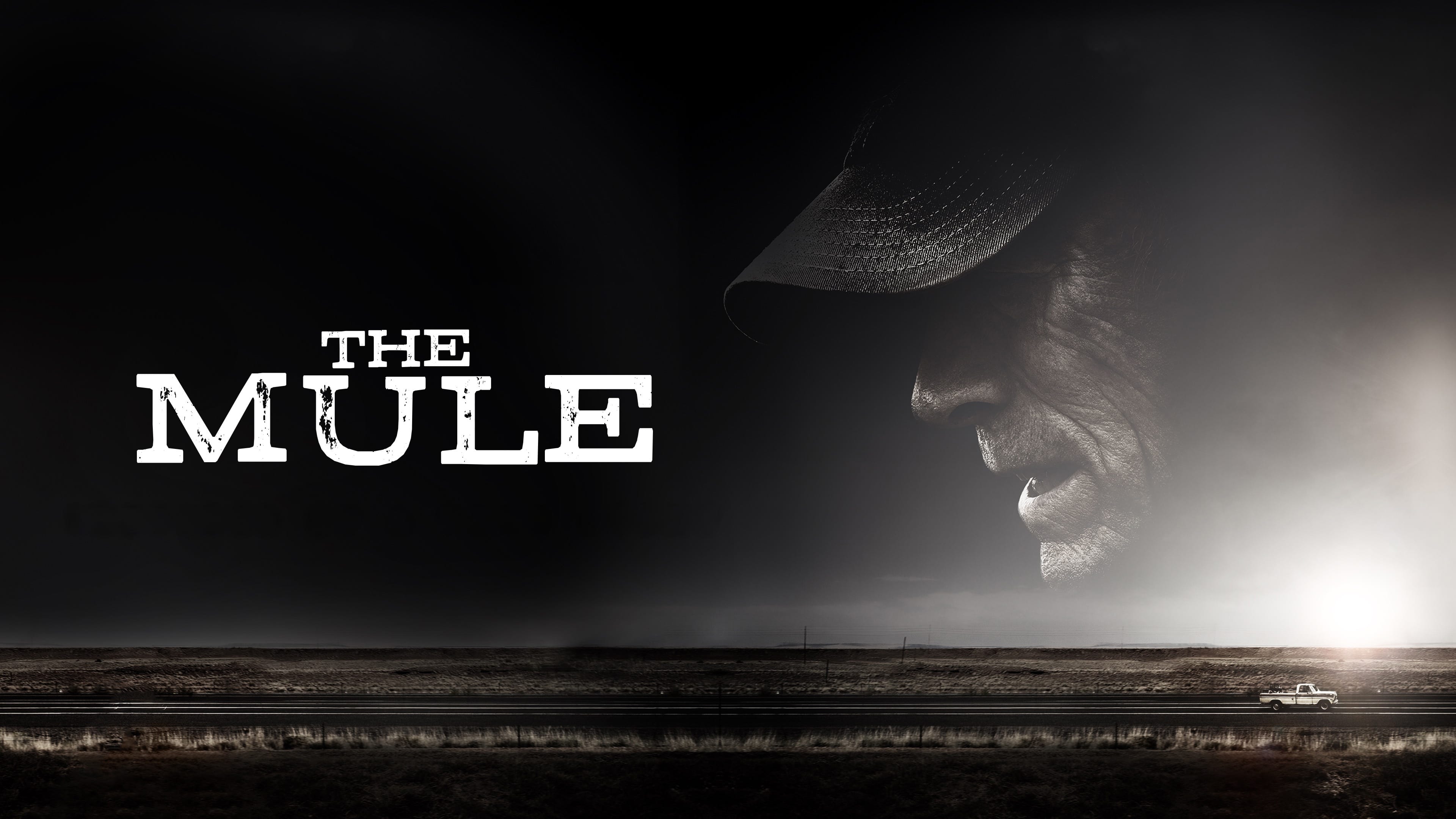 The Mule